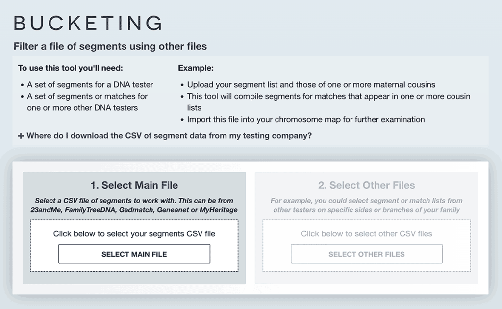 The main screen for the Bucketing DNA tool