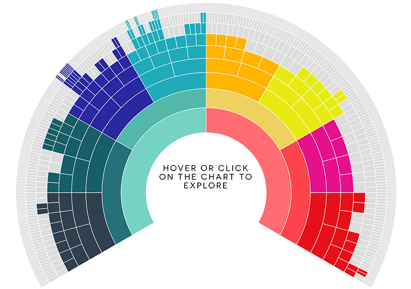 One-page illustration of your pedigree