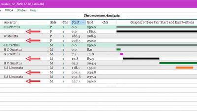 Genealogical DNA Analysis Tool (GDAT) Becky Walker
