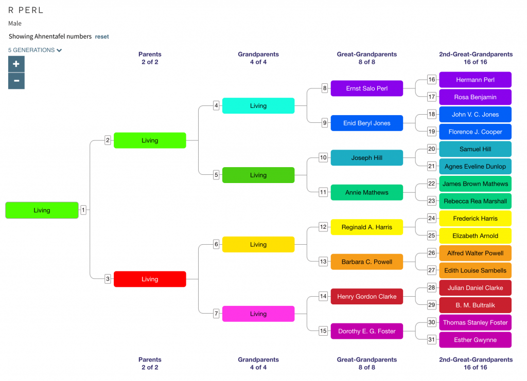 Pedigree chart showing ahnentafel numbers