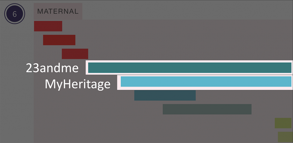 An excerpt from a chromosome map showing a match form 23andme aligning with a match from MyHeritage.