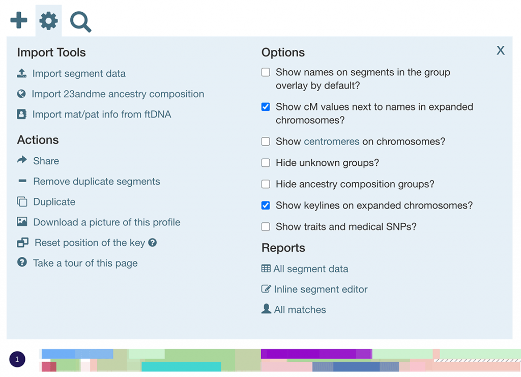 The settings panel within a DNA Painter chromosome map