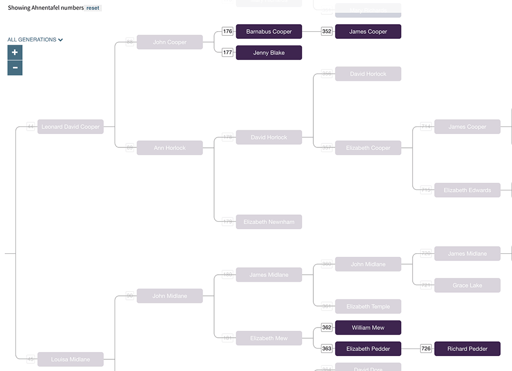 My WikiTree Collaborative Family Tree Challenge | DNA Painter Blog