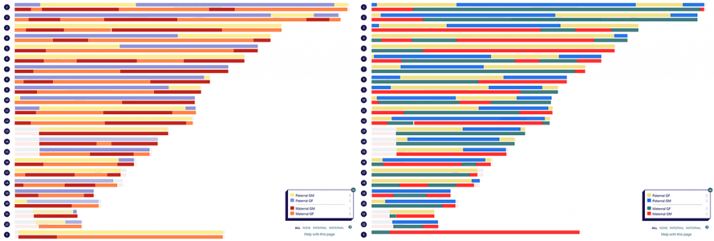 Phased chromosome maps for myself and my partner