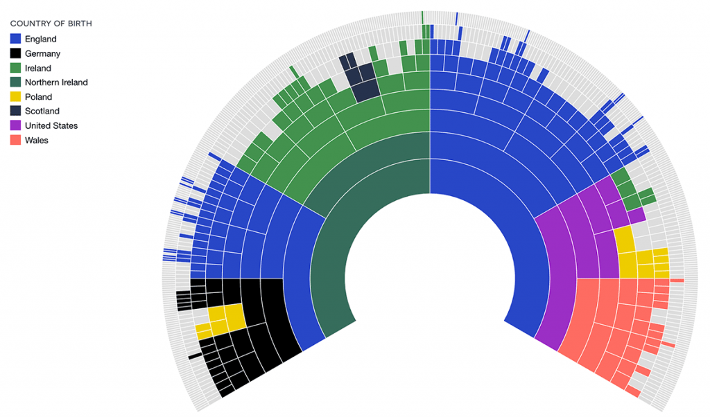 My son's fan chart showing his 'country of birth' DNA Painter dimension