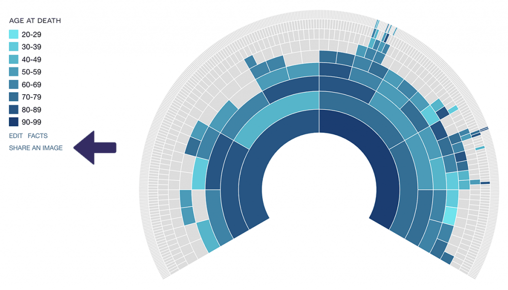 DNA Painter dimensions fan chart share image link