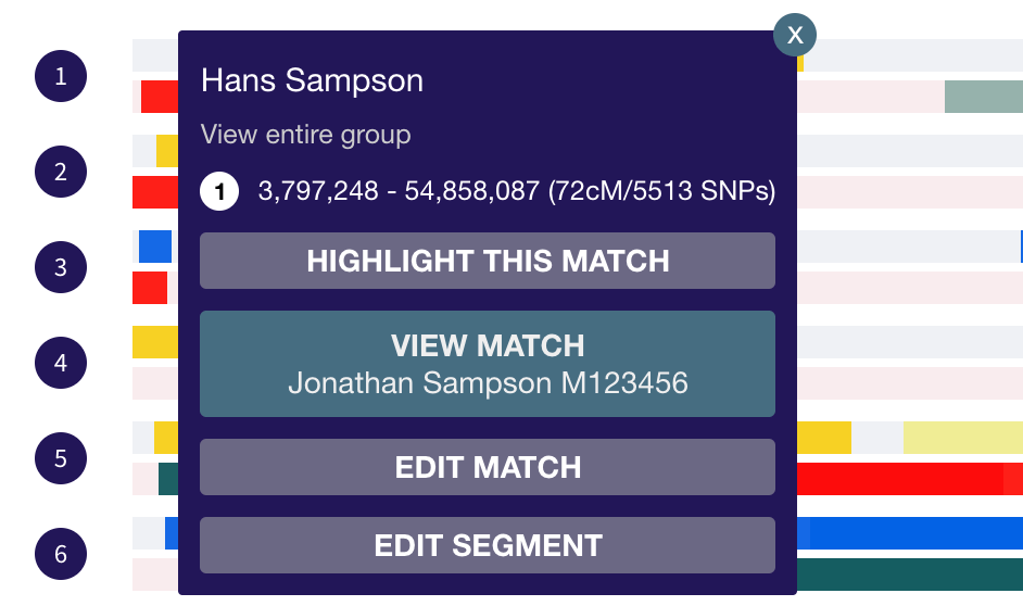 Segment popup in a DNA Painter chromosome map