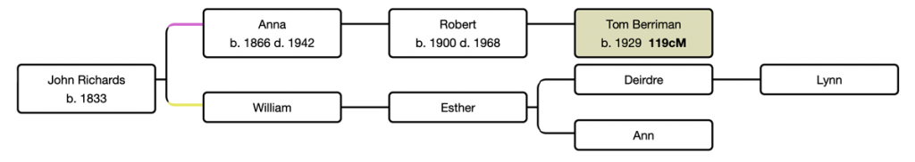 Tree showing how Tom connects to Ann and Lynn