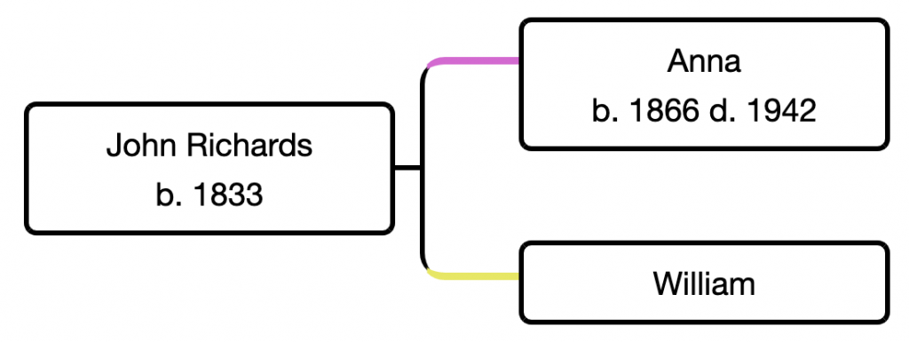 Tom and Ann's ancestors were half-siblings, children of John Richards