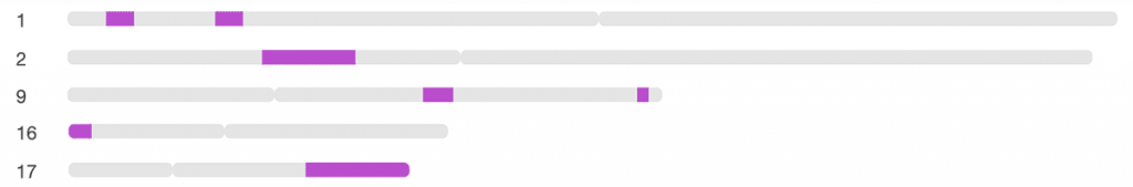 The segments of DNA that Tom shares with Ann