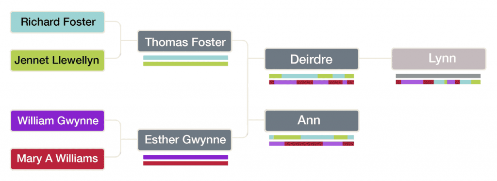 A tree showing segment inheritance