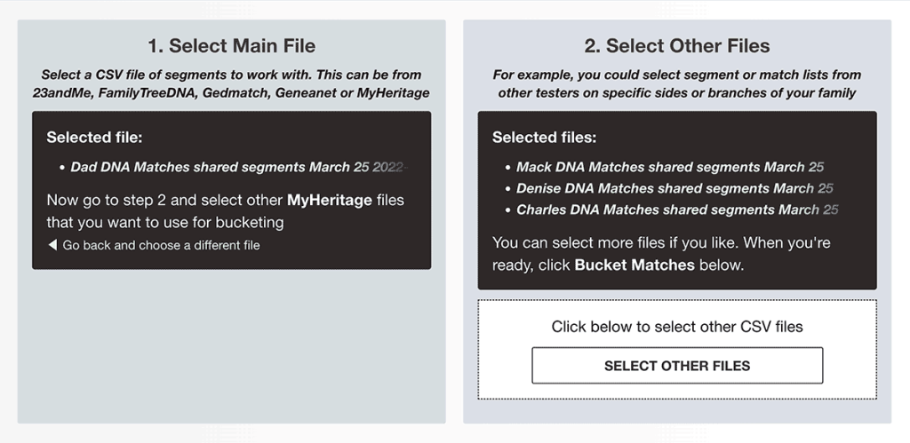 Step 2: Select other files in the Bucketing tool