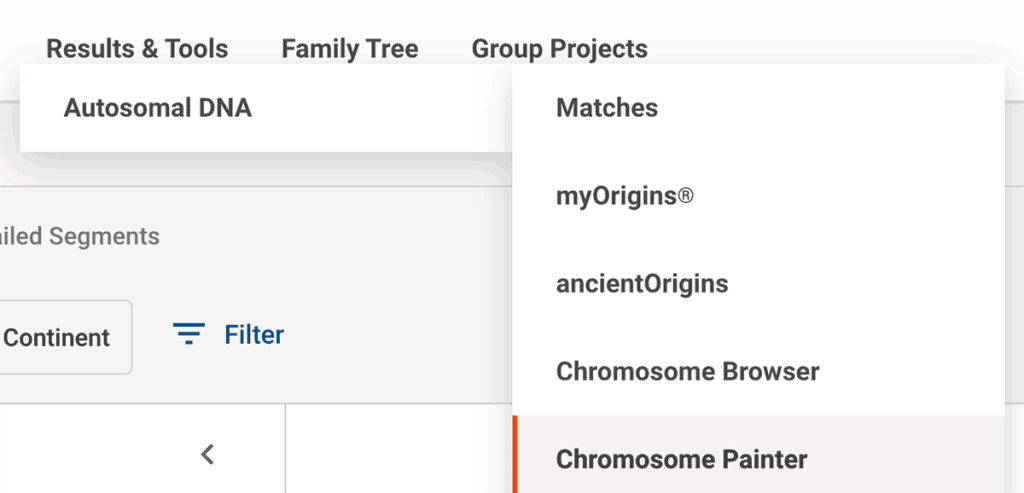 The 'Chromosome Painter' option within the Results & Tools menu at FamilyTreeDNA