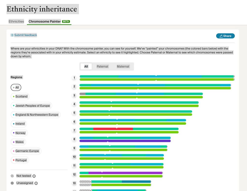 AncestryDNA Chromosome Painter segments