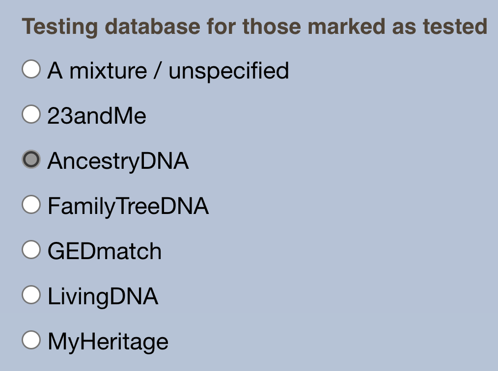 The option within settings to specify a testing database