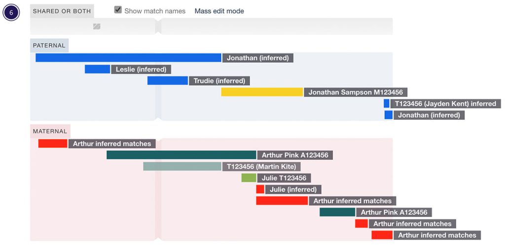 The expanded view of chromosome 6