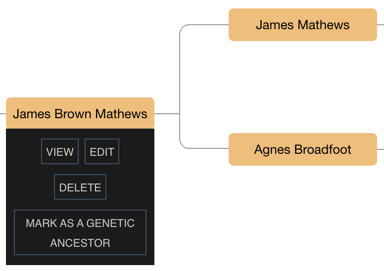 Screenshot of an ancestral tree showing the 'Mark as a genetic ancestor' button