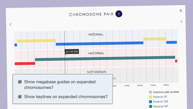 New gridlines and enhanced chromosome view in maps | DNA Painter Blog