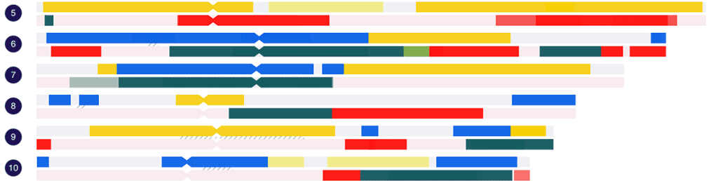 A section of a chromosome map showing the centromeres on each chromosome