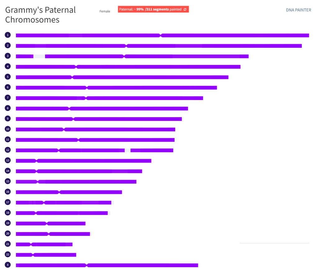 Chromosome map showing the reconstructed and unreconstructed parts of Grammy's paternal DNA