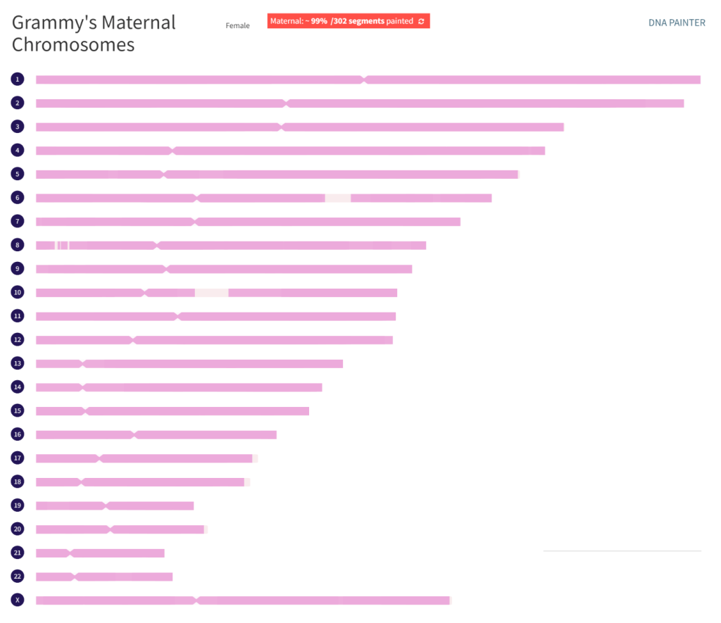 Chromosome map showing the reconstructed and unreconstructed parts of Grammy's maternal DNA