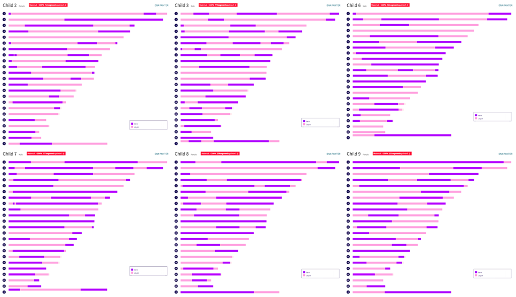 Collage of six chromosome maps, each showing the combination of DNA that one of grammy's children inherited from her parents