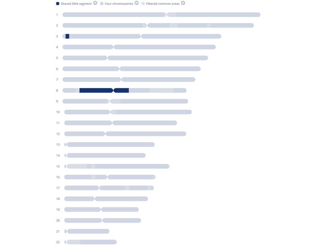 The Living DNA chromosome browser