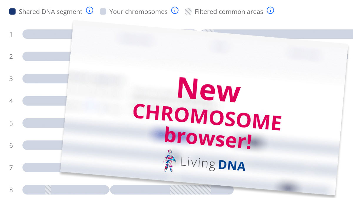 New LIving DNA Chromosome Browser