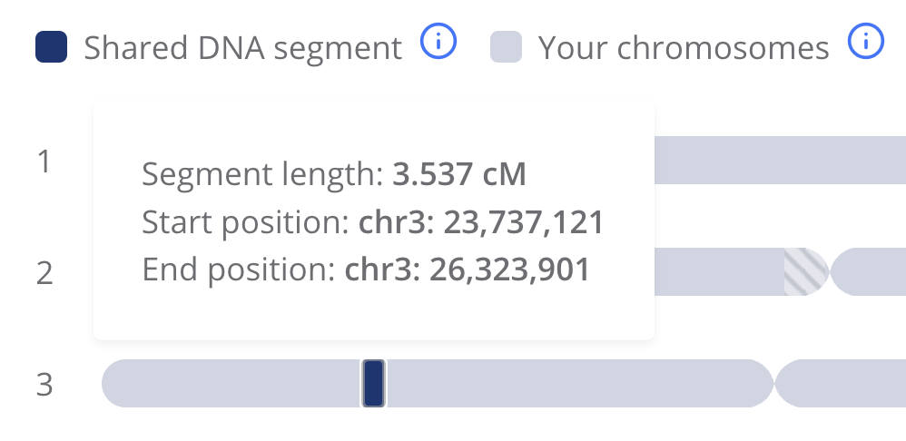 Small segment on chromosome 3