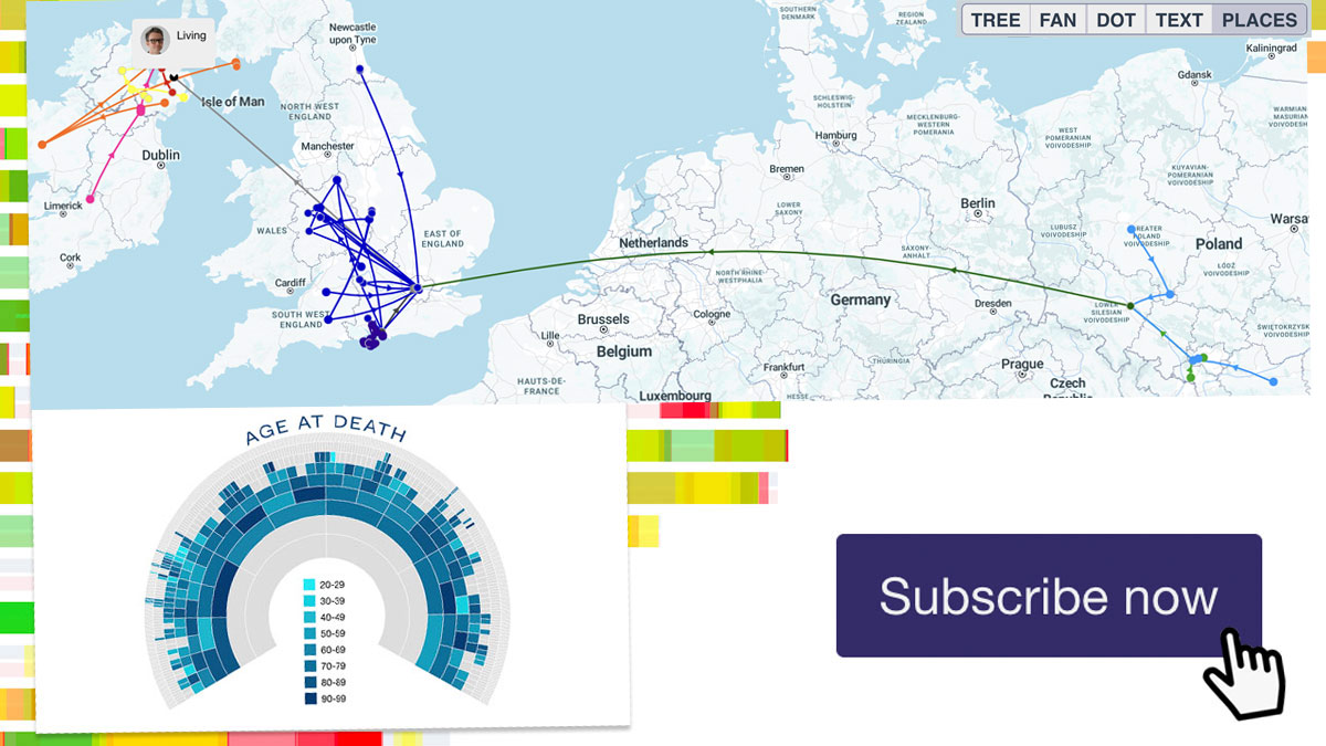 Subscribing to DNA Painter