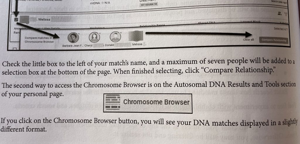 Instruction about the chromosome browser interface within Family Finder test results