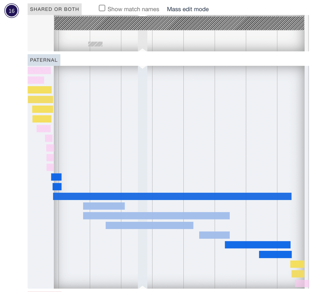 The "Dutch" segment (the black and white one at the top) overlaid on my paternal chromosome 16