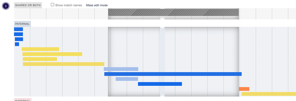 The "Dutch" segment (the black and white one at the top) overlaid on my paternal chromosome 3