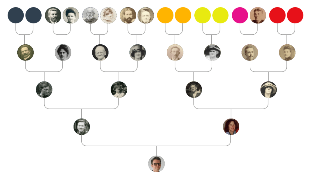 Dots view in my ancestral tree