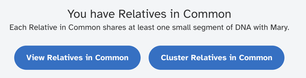 The new Cluster Relatives in Common button on the match page at 23andMe